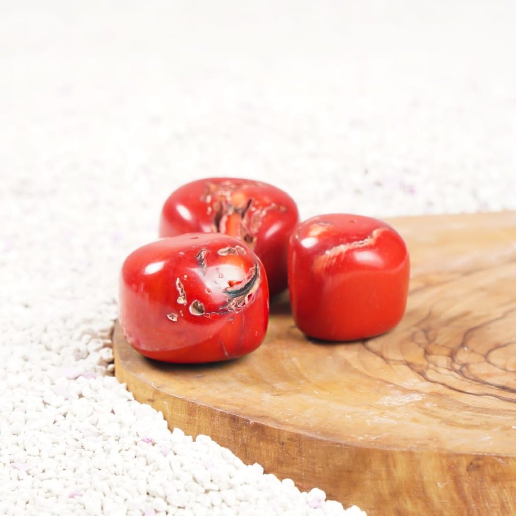 Kırmızı Mercan – Hayat Enerjisinin Taşı