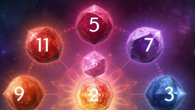 Yedinci Çakra Taşları